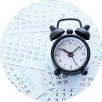 業界最速級のスピード対応