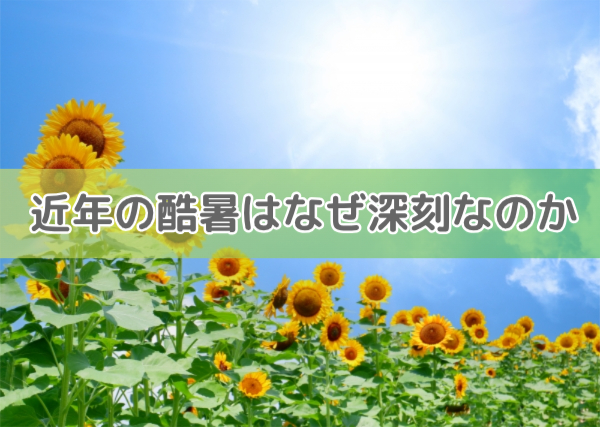 酷暑1